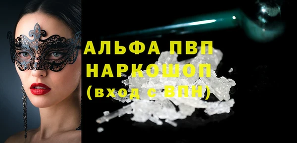 хмурый Инта