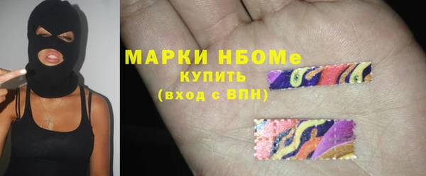 хмурый Инта
