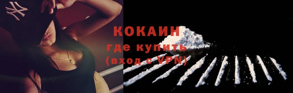 хмурый Инта