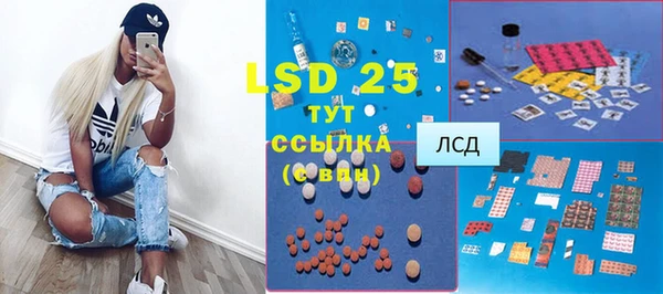 соль ск Инсар
