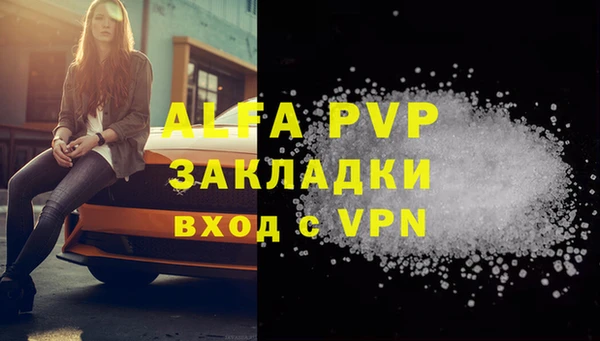 хмурый Инта