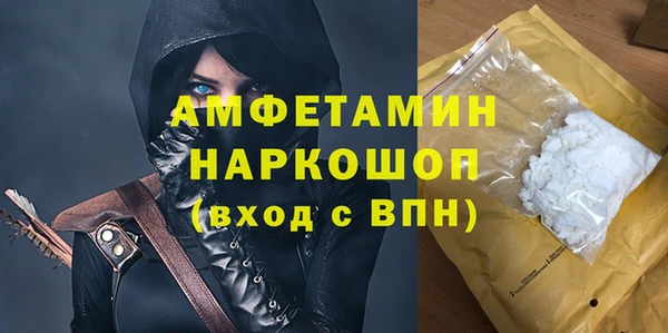 соль ск Инсар