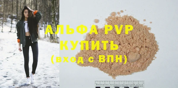 соль ск Инсар