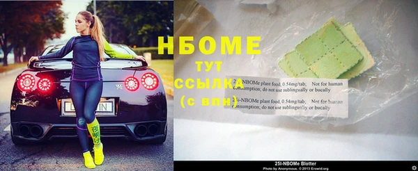 хмурый Инта