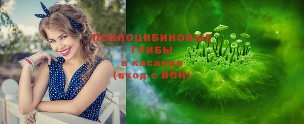 хмурый Инта