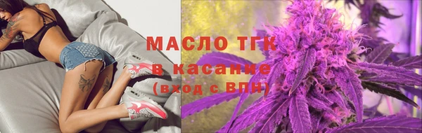 соль ск Инсар