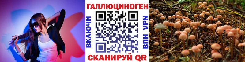 Купить где  Баксан  Псилоцибиновые грибы MAGIC MUSHROOMS 